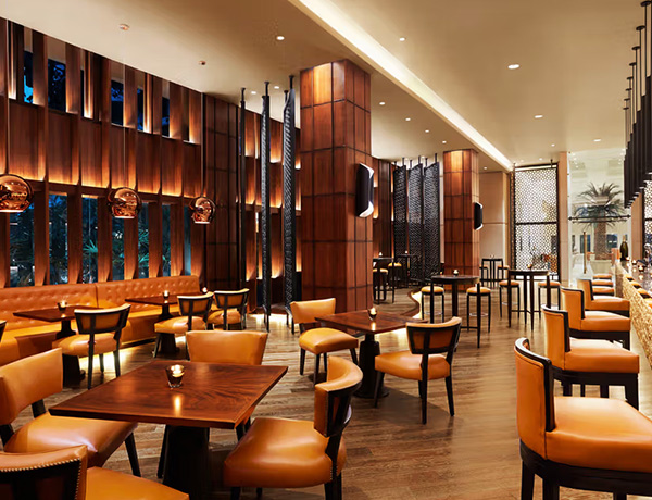 Private Placement of Shares by TAL Lanka Hotels PLC