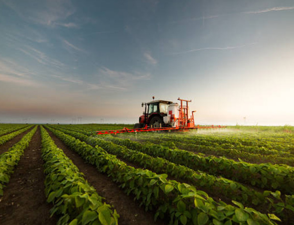 IFC Supports $80 Million Risk-Sharing Facilities to Expand Financial Access for SMEs in Sri Lanka’s Agri-Business Sector