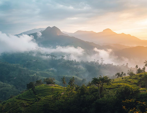 Dedigama Group to acquire Cinnamon Citadel Kandy from John Keells Hotels PLC